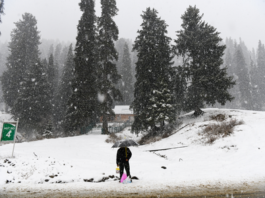 Kashmir hill stations receive first snowfall; tourists flock to celebrate New Year
