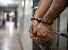 Haryana rights panel seeks report on custodial suicides, prison violence